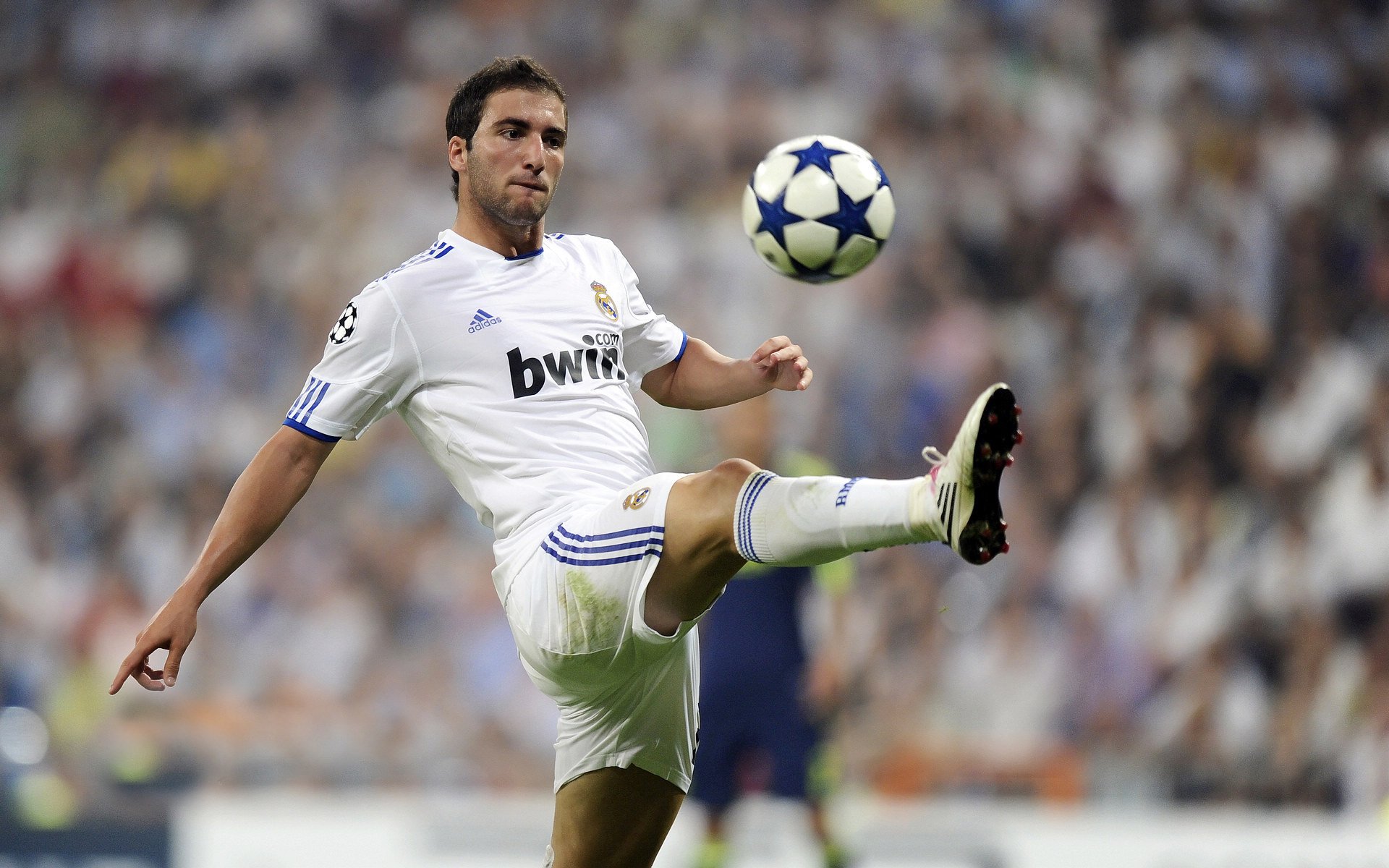 从预赛到决赛 温斯坦表现渐入佳境，个股温斯坦强度 反转